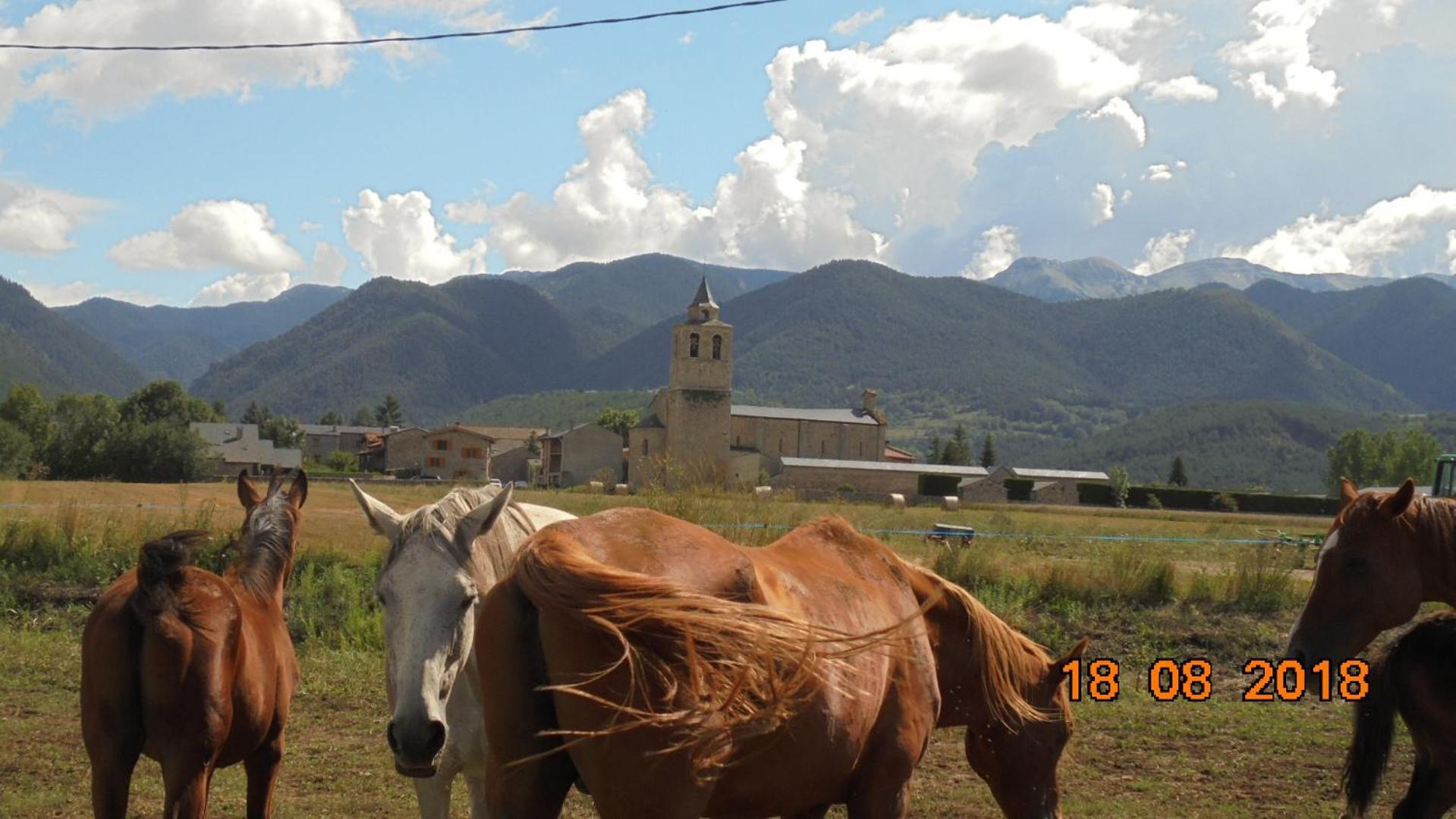 Can Vall Bellver Bellver De Cerdanya Exteriér fotografie